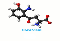 Senyawa Aromatik