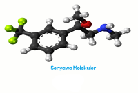 Senyawa Molekuler