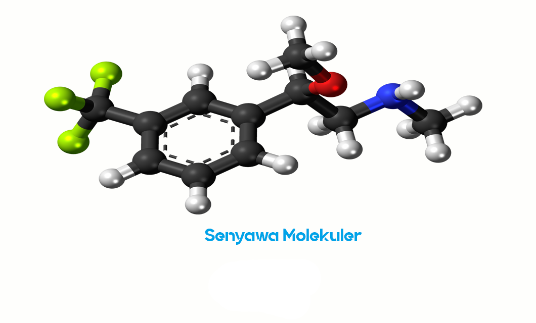 Senyawa Molekuler