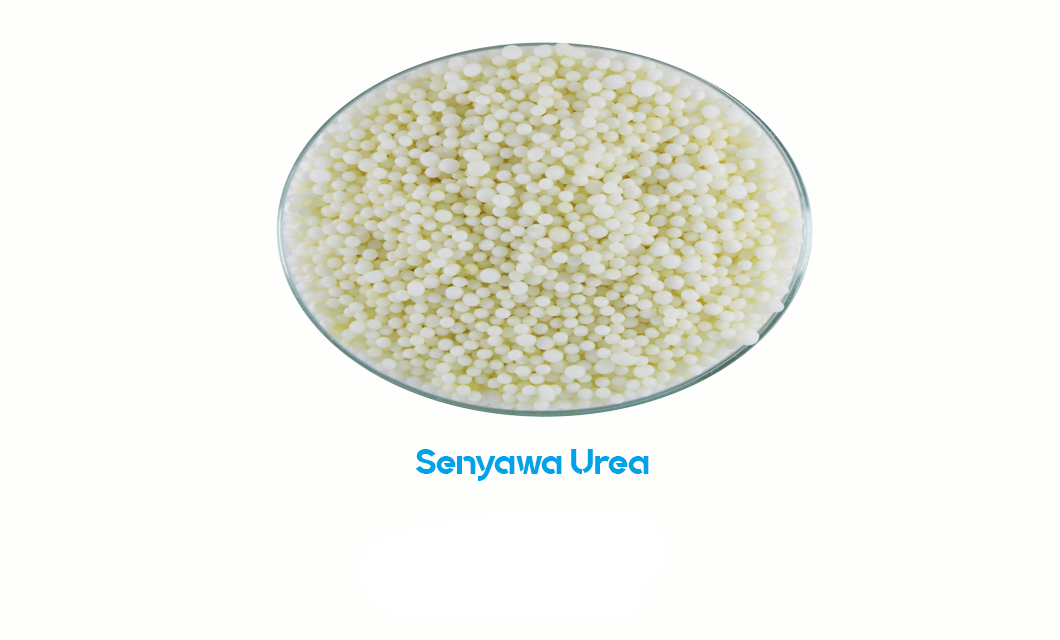 Senyawa Urea