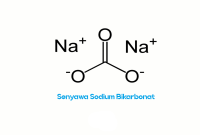 Senyawa Sodium Bikarbonat