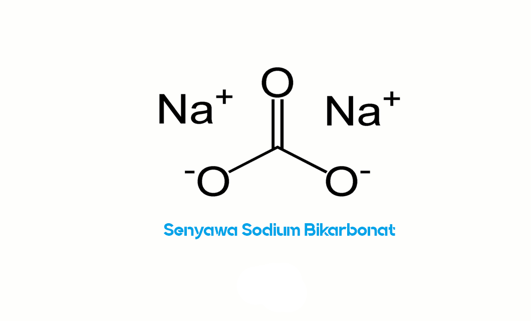 Senyawa Sodium Bikarbonat