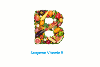 Senyawa Vitamin B