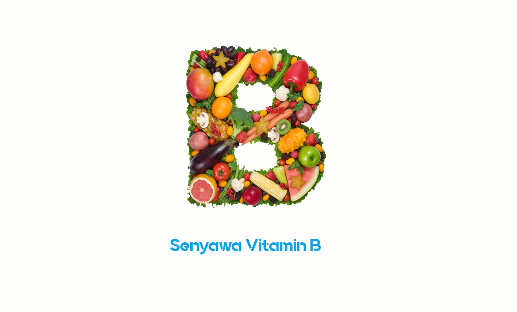 Senyawa Vitamin B